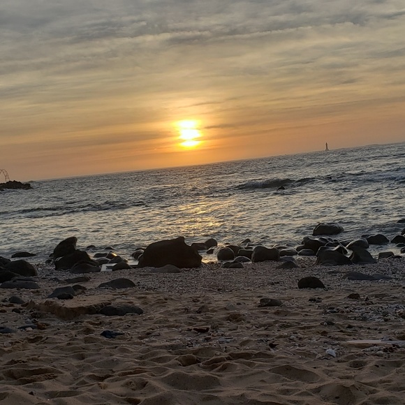 Meet your Posher, Noly - Picture 1 of 1